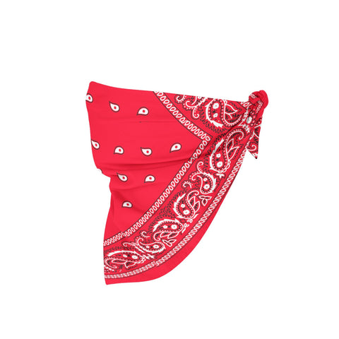 Bandana - Fadcloset Paisley Cotton Bandana