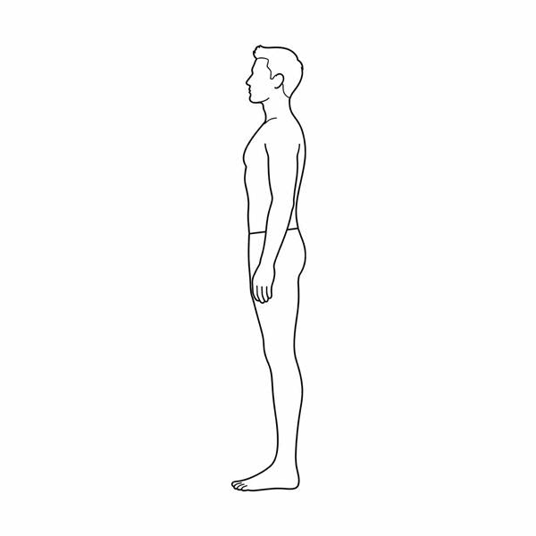 Erect