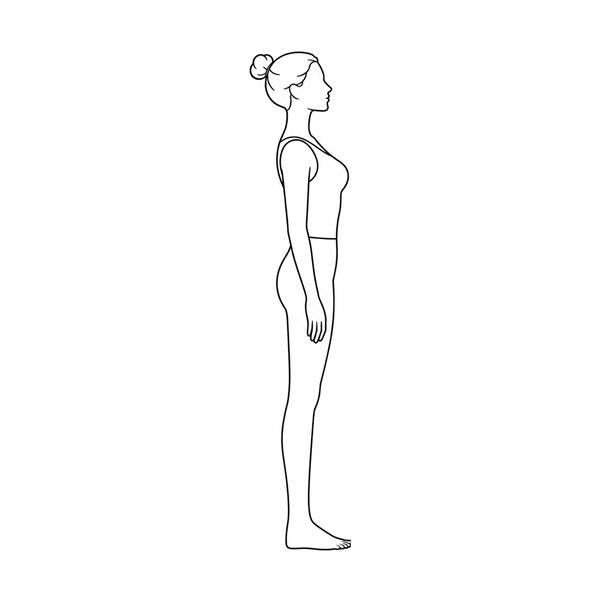 Erect
